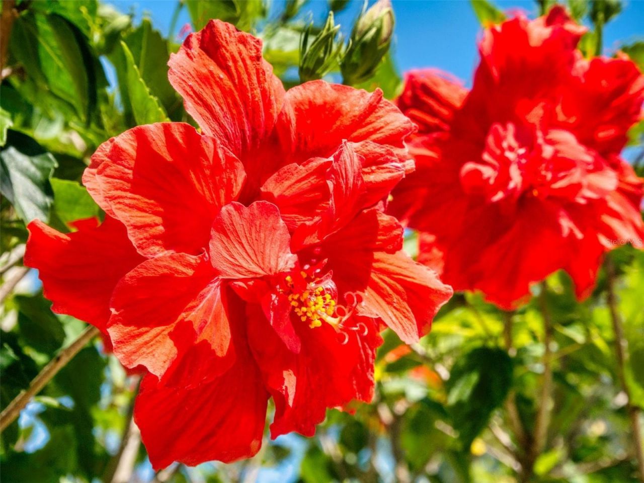 3800 Saxon Drive, Unit 250, New Smyrna Beach, FL 32169 Photo