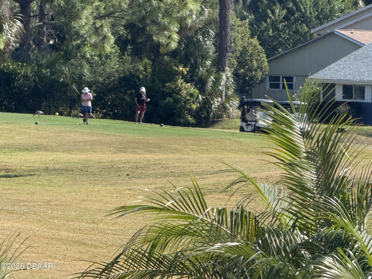 102 Golf Club Drive, New Smyrna Beach, FL 32168 Photo