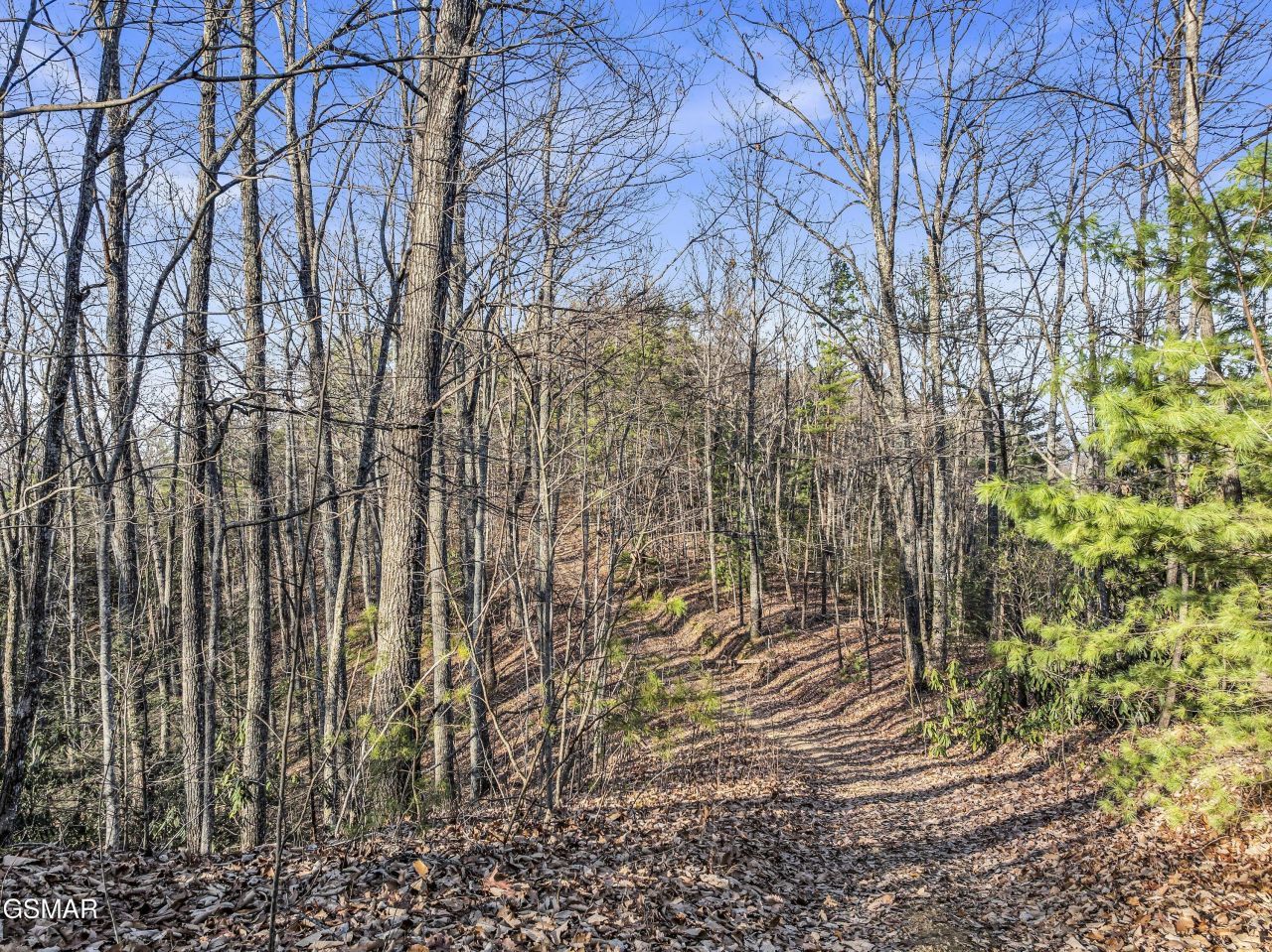 035.19 Forest Trails Drive Lot Tr R, Sevierville, TN 37876 Main Photo