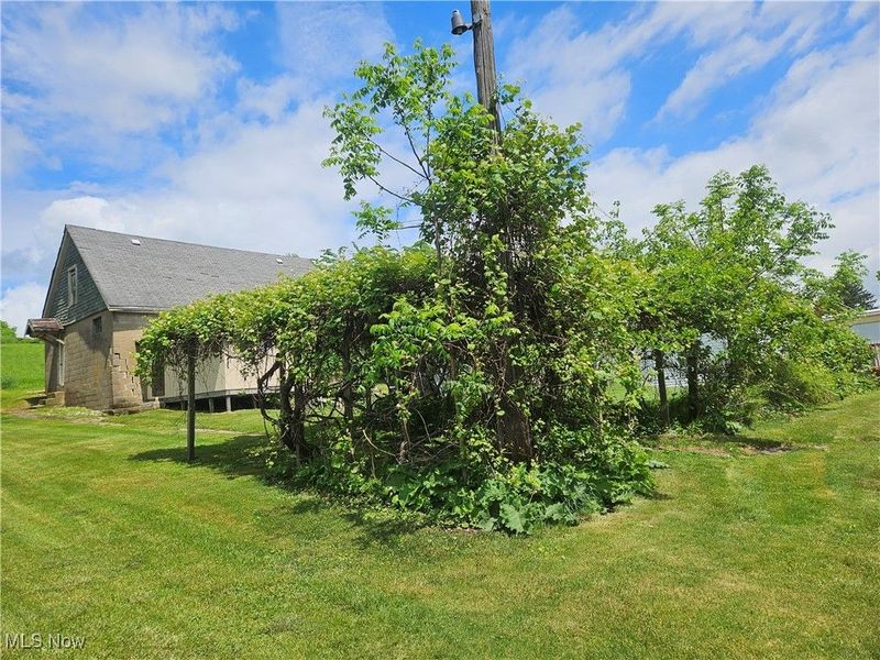 119 S Green Street, Richmond, OH 43944 Photo 17