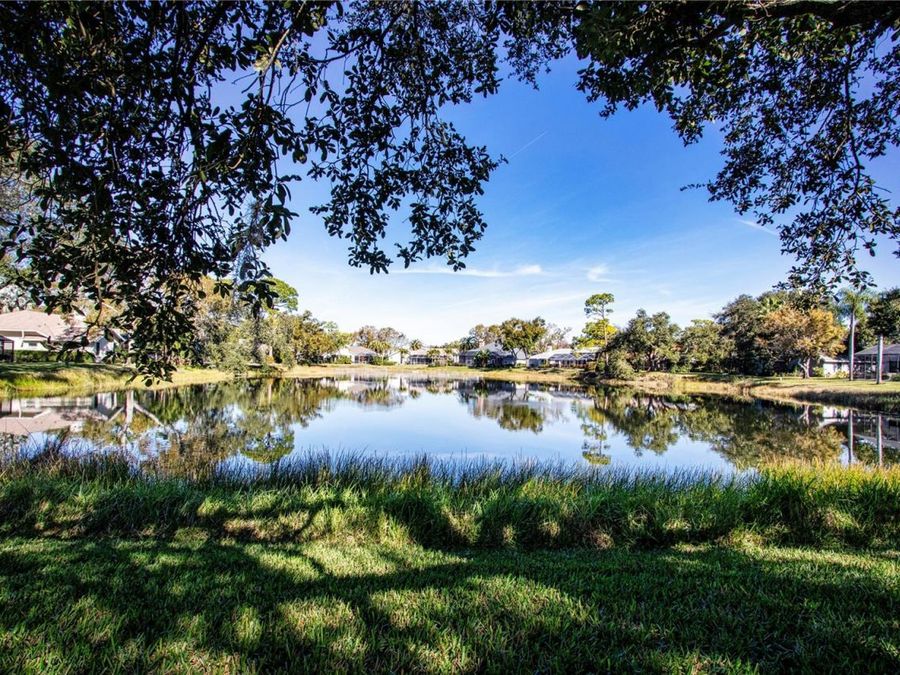Property Image 65