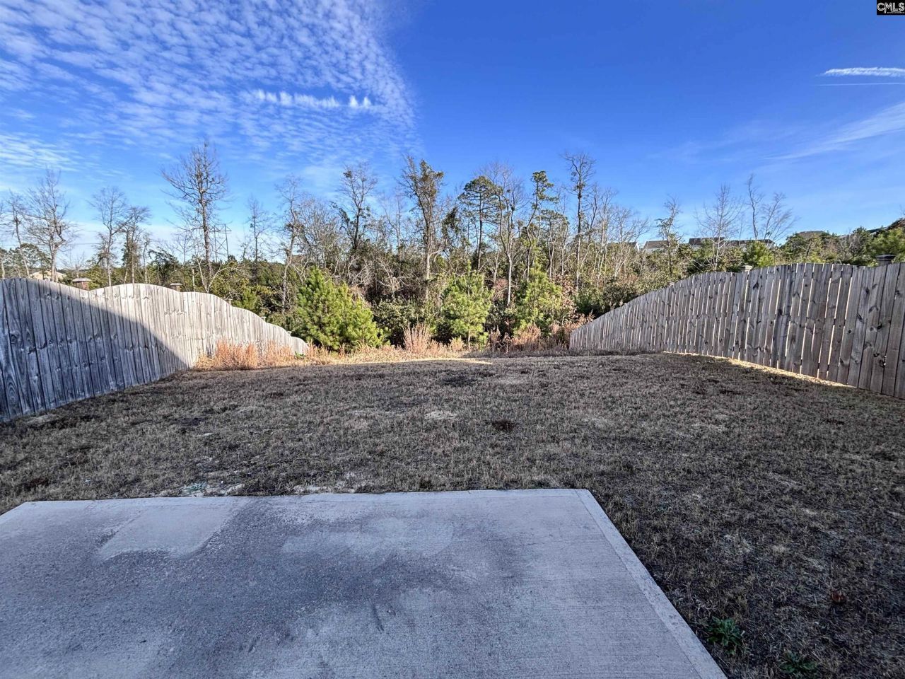 514 Cricket Chirp Lane Photo 15