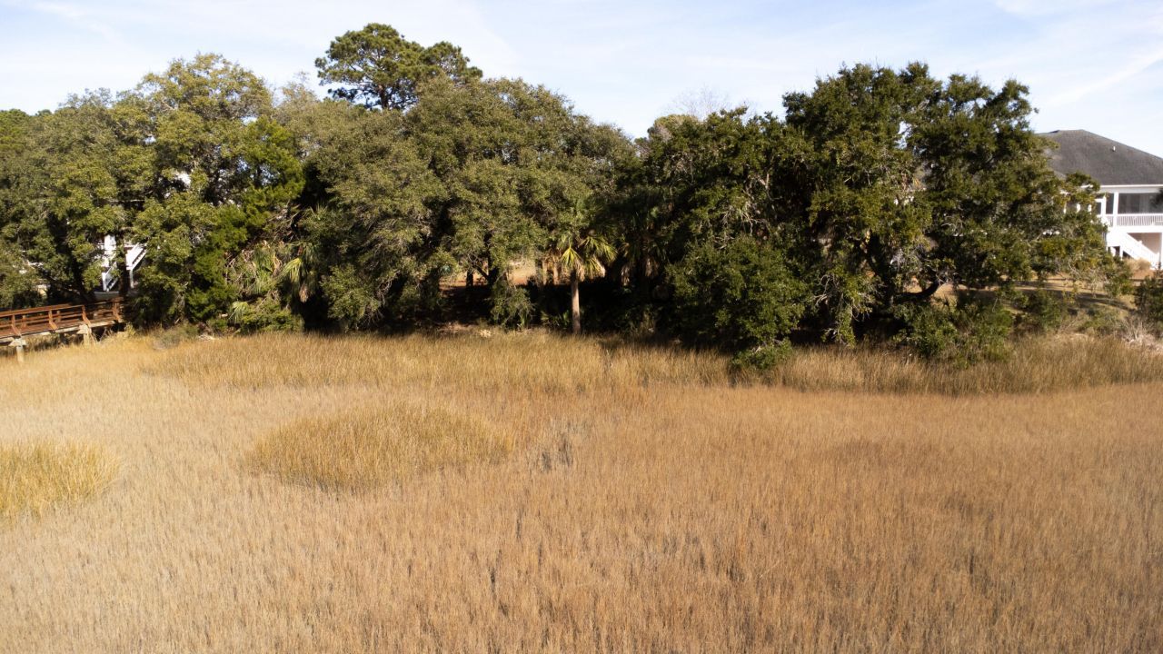 171 Bennett Island Dr. Photo 10