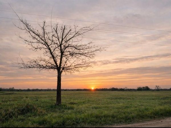 TBD County Road 14420 , Pattonville, TX 75468