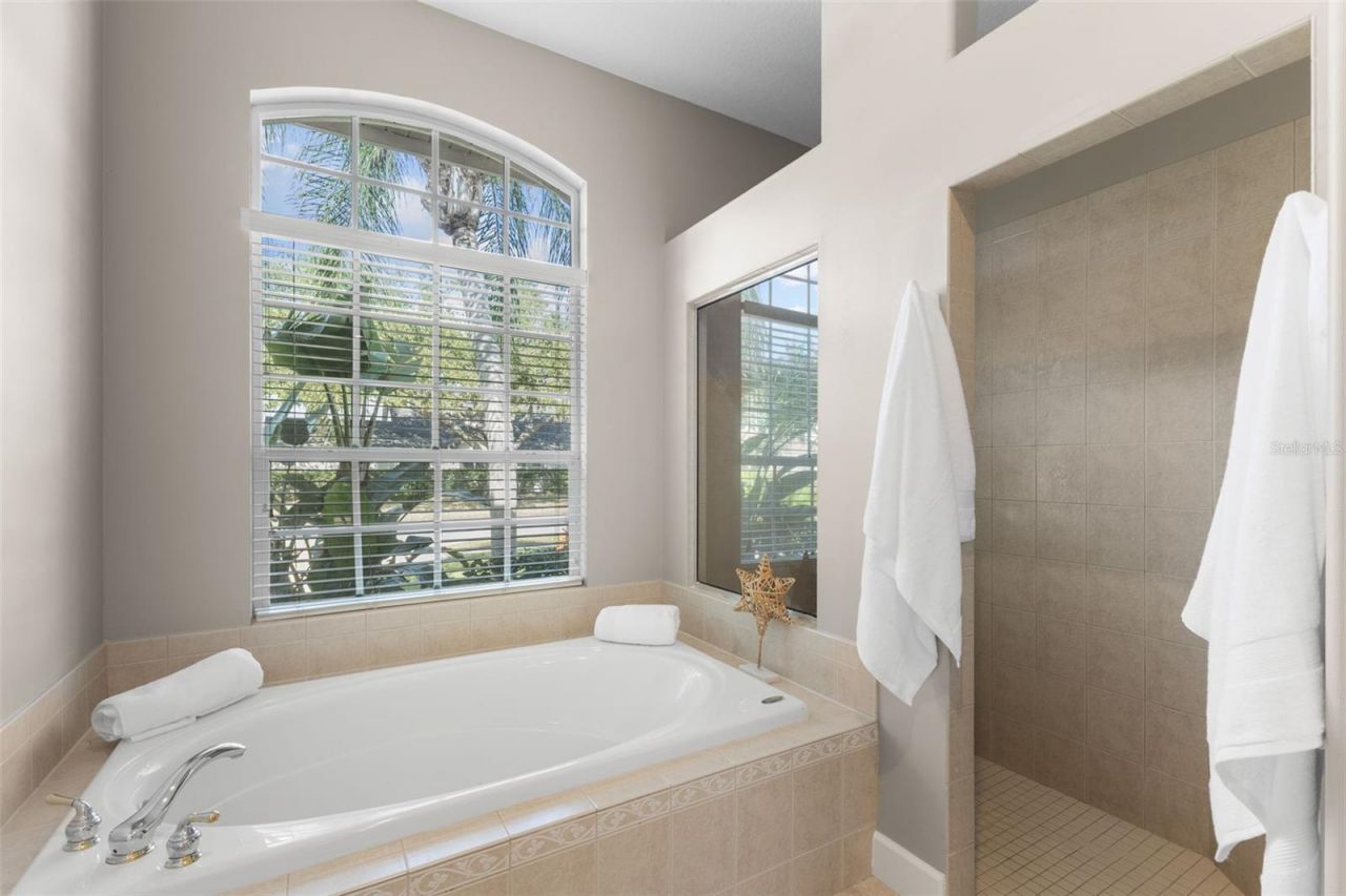 3830 Moreno Drive, Palm Harbor, FL 34685 Photo