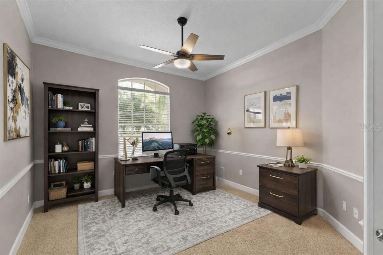 3830 Moreno Drive, Palm Harbor, FL 34685 Photo