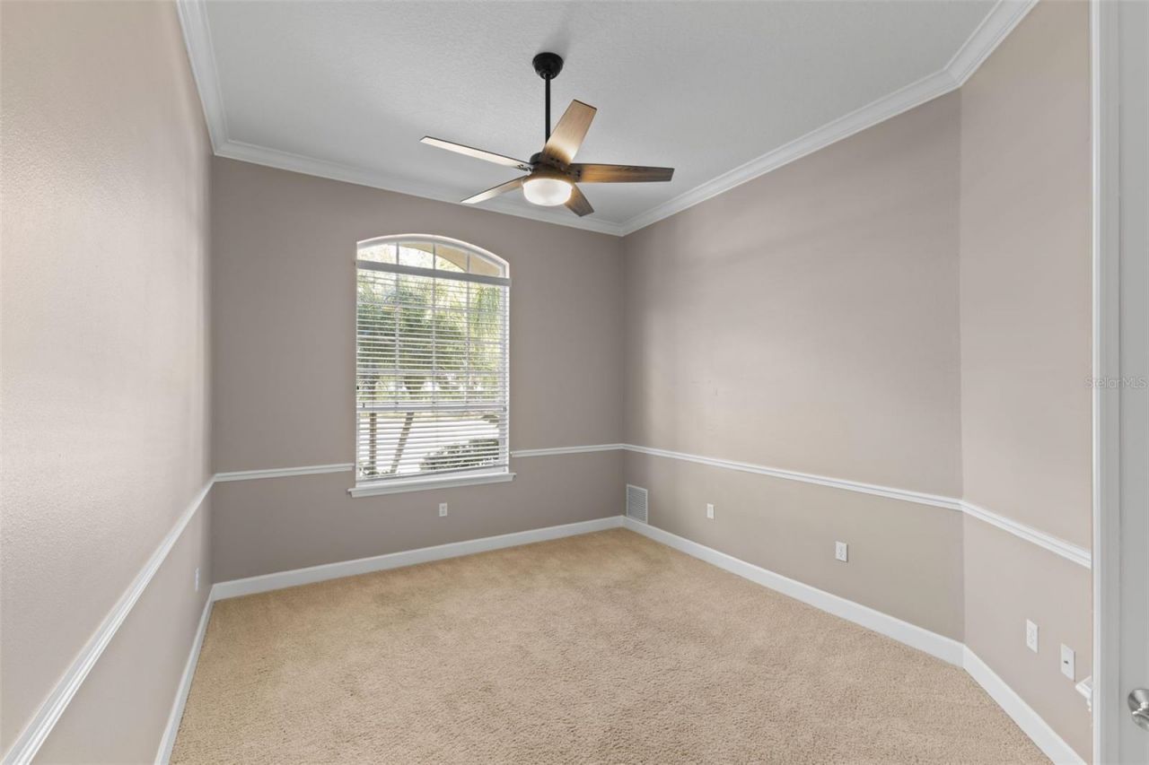 3830 Moreno Drive, Palm Harbor, FL 34685 Photo