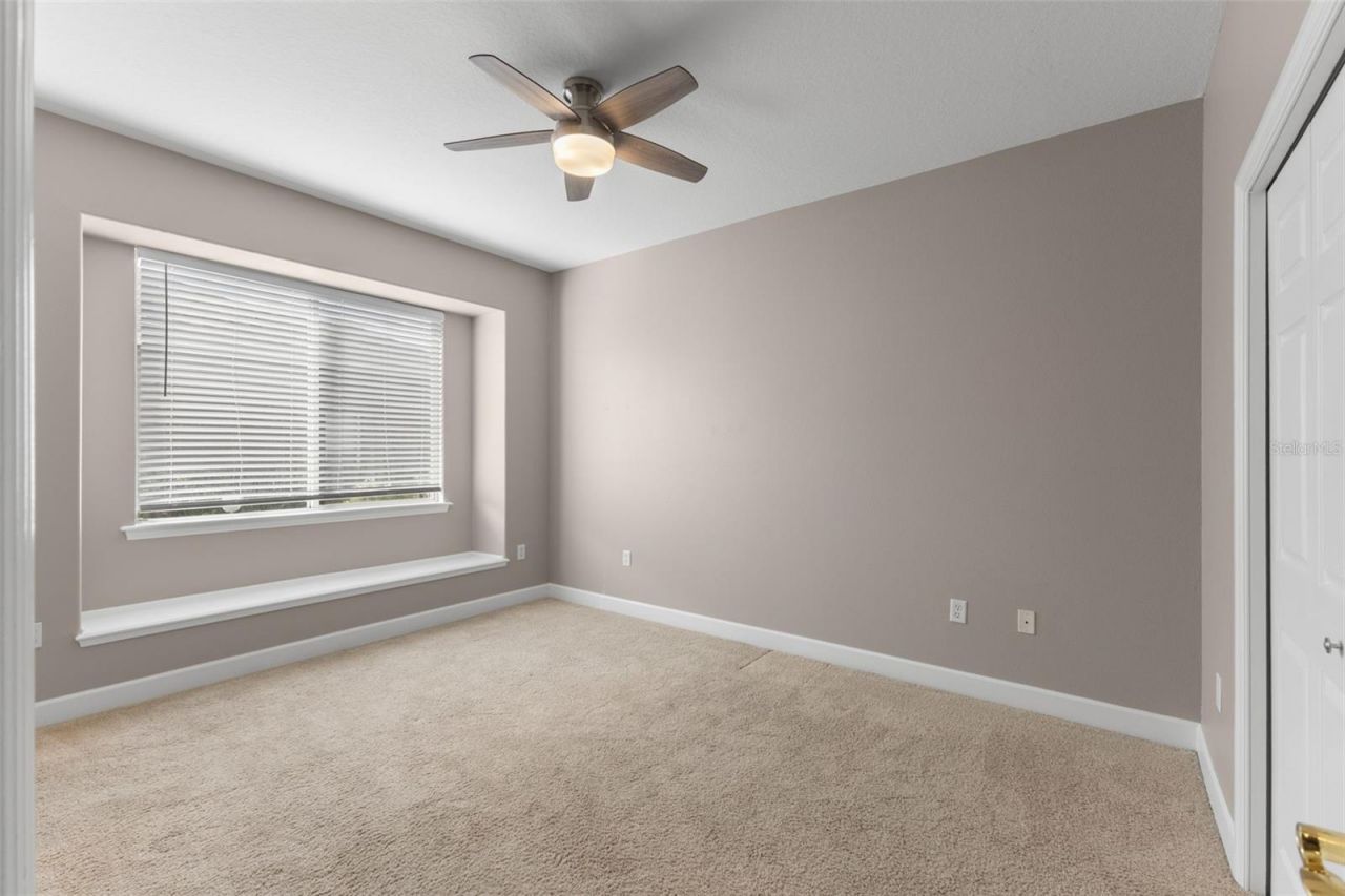 3830 Moreno Drive, Palm Harbor, FL 34685 Photo