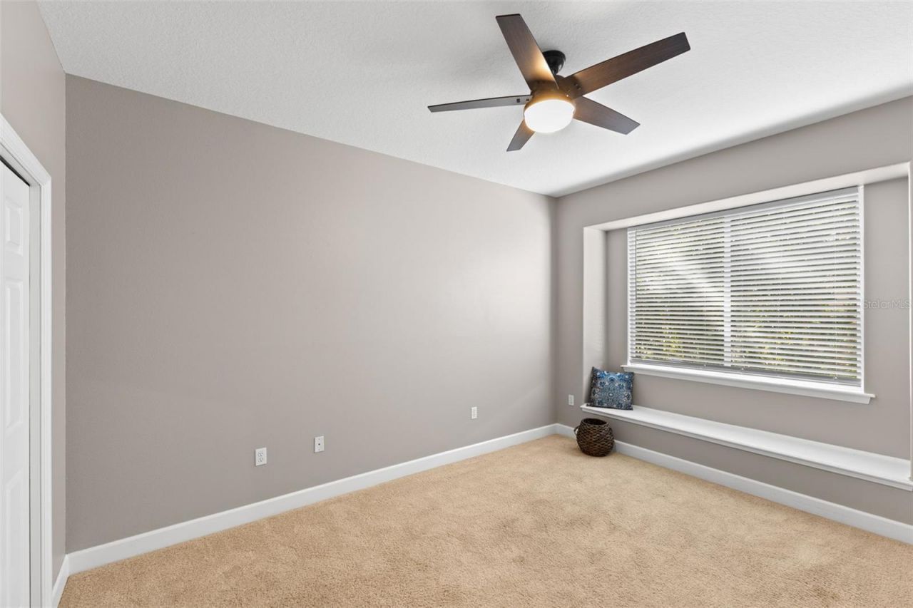 3830 Moreno Drive, Palm Harbor, FL 34685 Photo