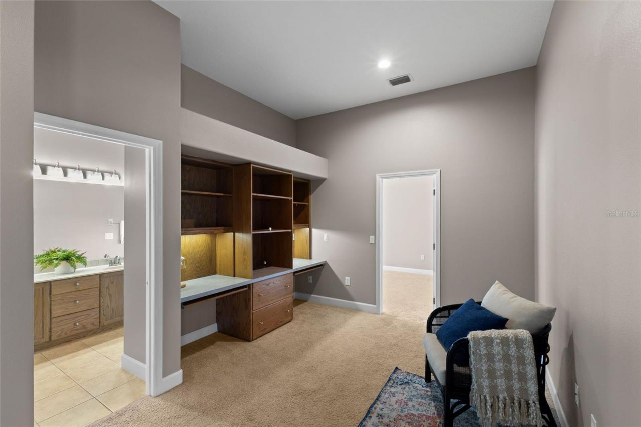 3830 Moreno Drive, Palm Harbor, FL 34685 Photo