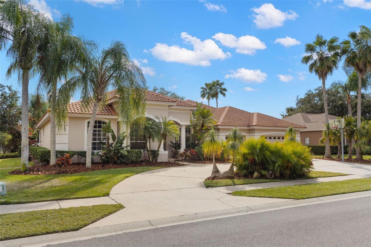 3830 Moreno Drive, Palm Harbor, FL 34685 Photo