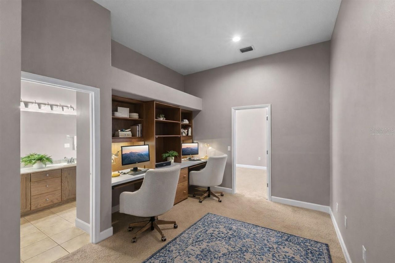 3830 Moreno Drive, Palm Harbor, FL 34685 Photo