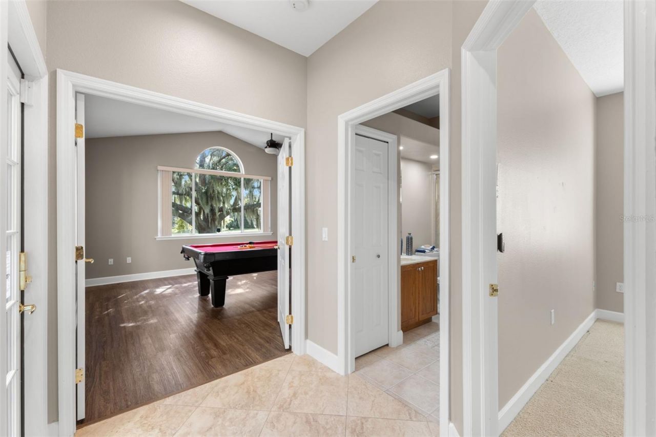 3830 Moreno Drive, Palm Harbor, FL 34685 Photo