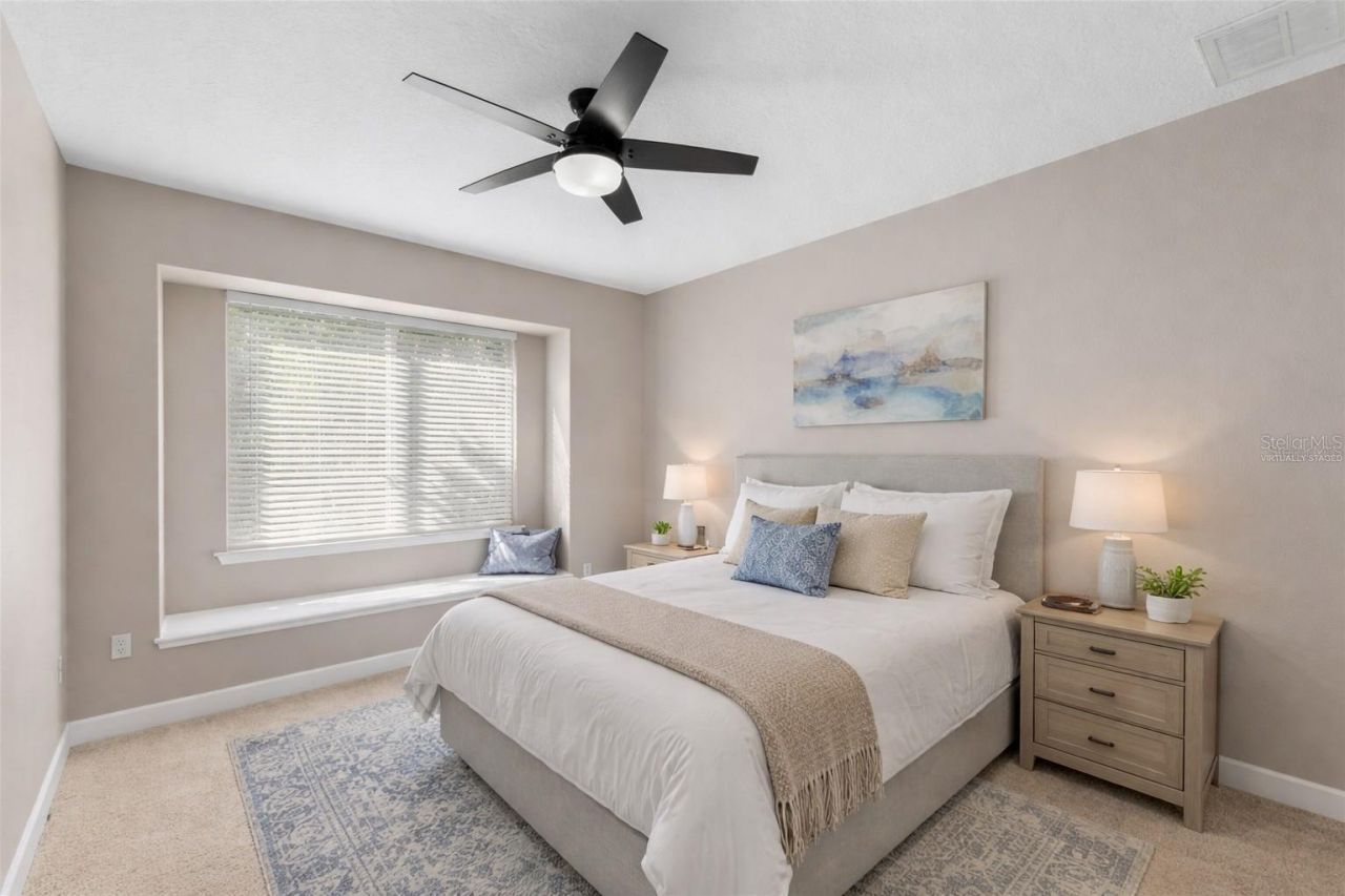 3830 Moreno Drive, Palm Harbor, FL 34685 Photo