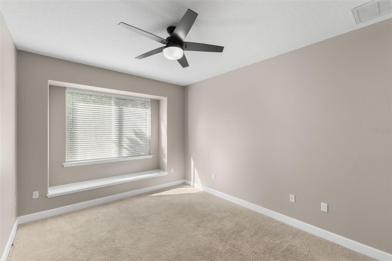 3830 Moreno Drive, Palm Harbor, FL 34685 Photo