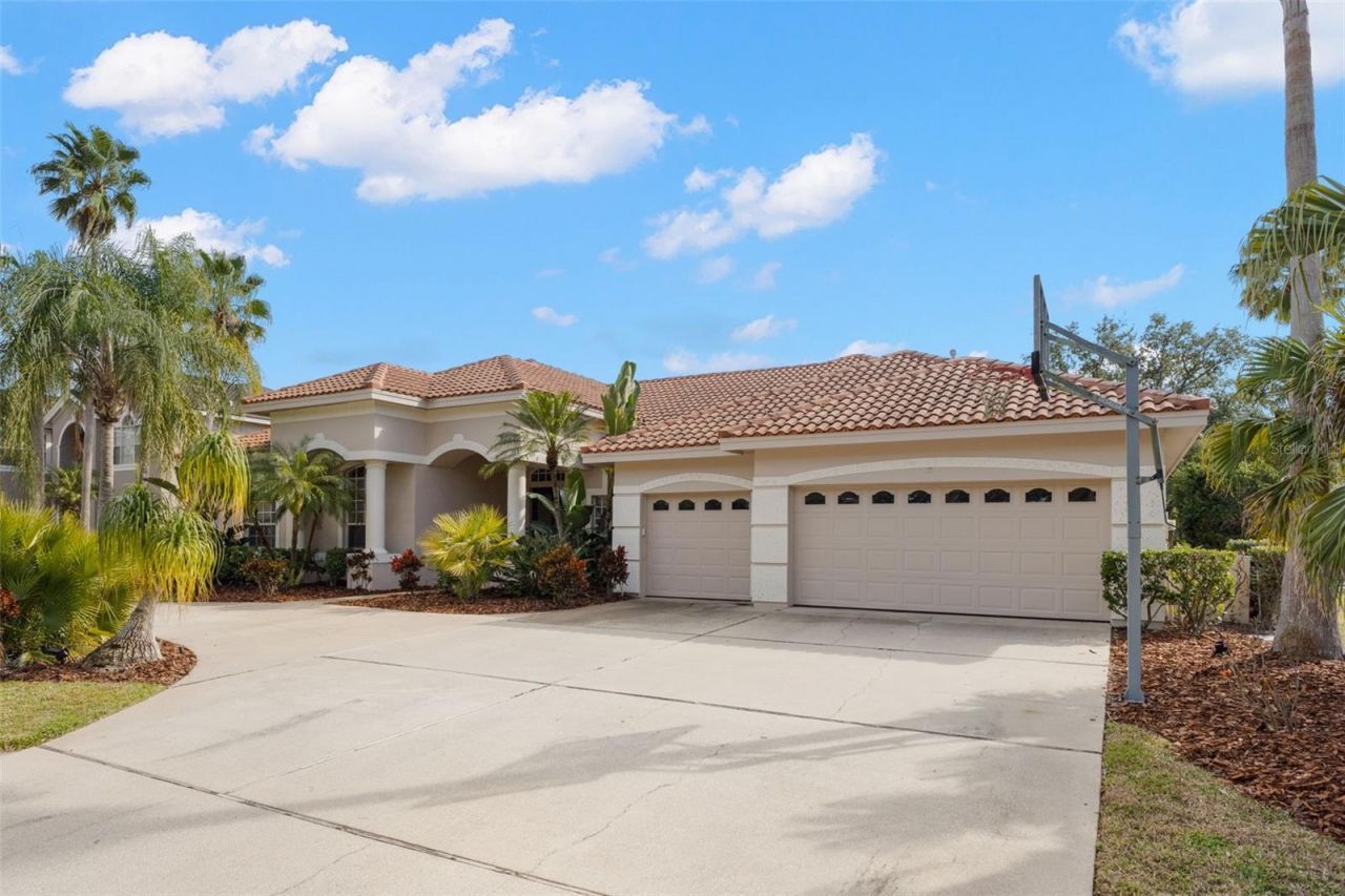 3830 Moreno Drive, Palm Harbor, FL 34685 Photo