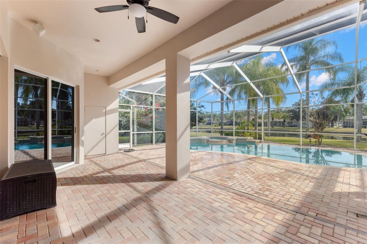 3830 Moreno Drive, Palm Harbor, FL 34685 Photo