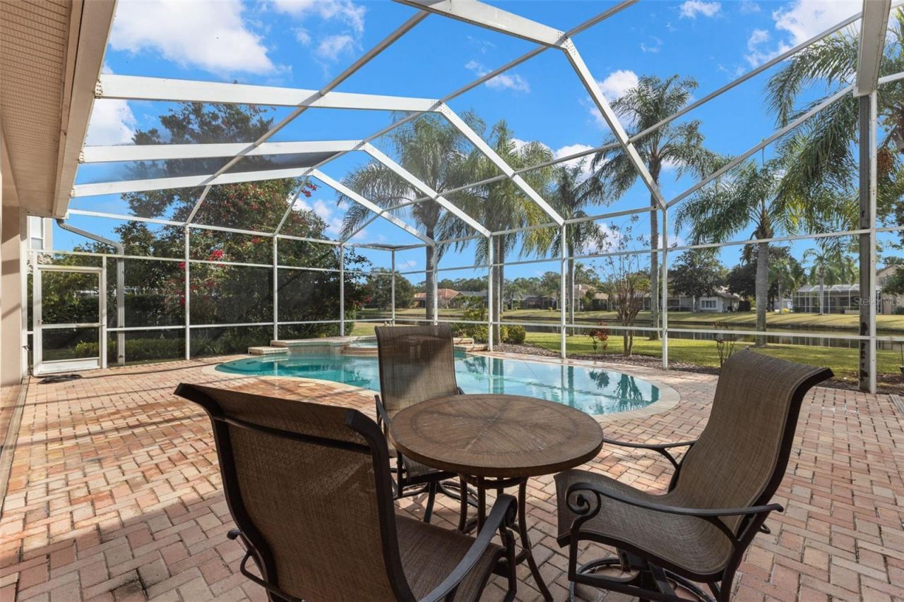 3830 Moreno Drive, Palm Harbor, FL 34685 Photo