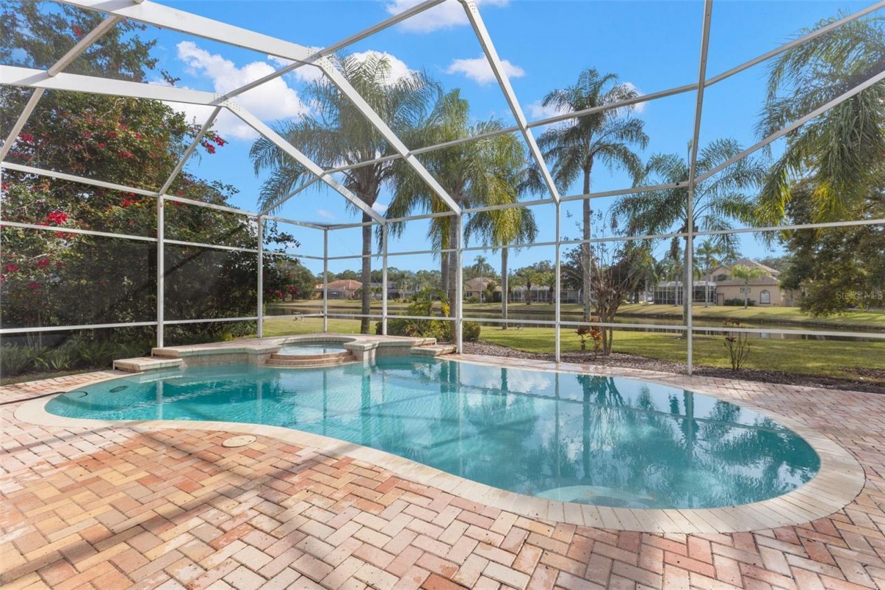 3830 Moreno Drive, Palm Harbor, FL 34685 Photo