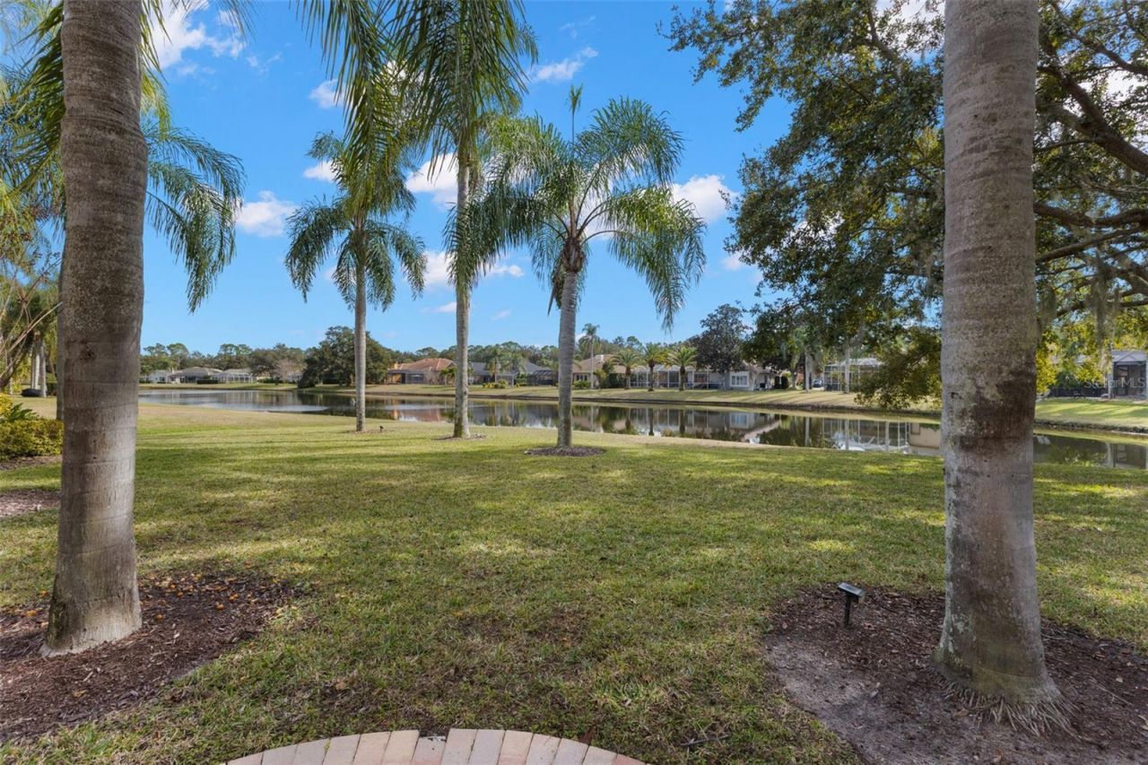 3830 Moreno Drive, Palm Harbor, FL 34685 Photo