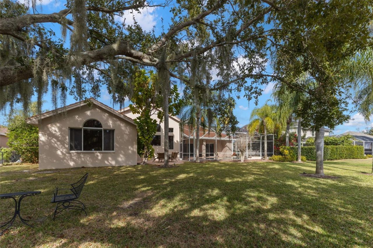 3830 Moreno Drive, Palm Harbor, FL 34685 Photo
