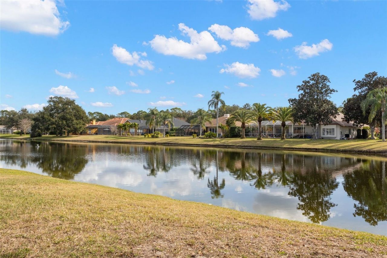 3830 Moreno Drive, Palm Harbor, FL 34685 Photo