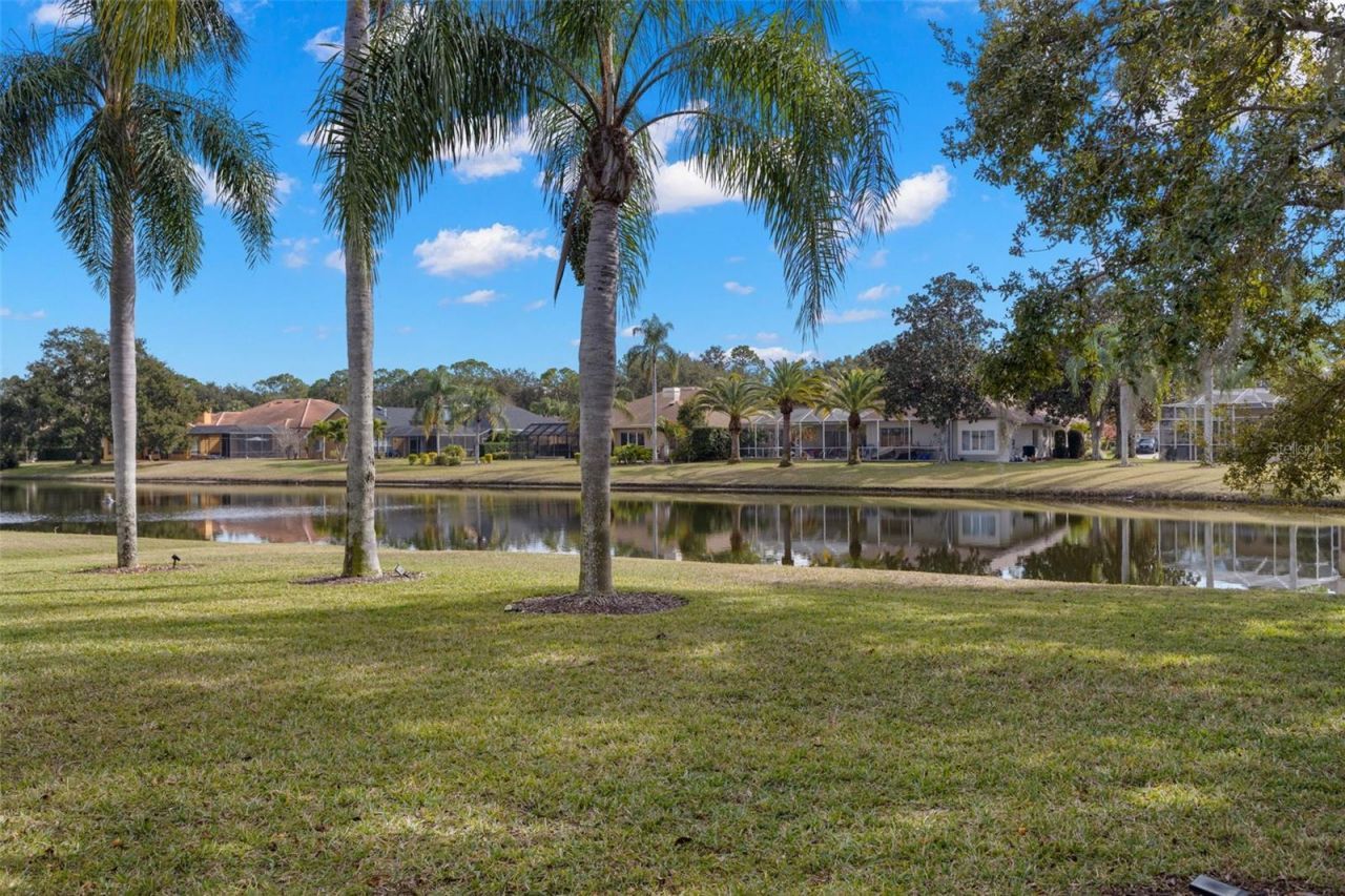 3830 Moreno Drive, Palm Harbor, FL 34685 Photo