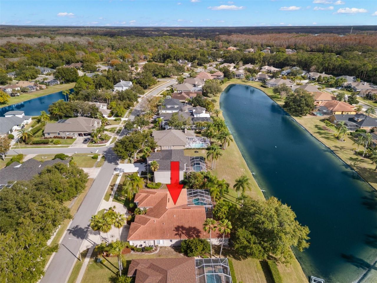 3830 Moreno Drive, Palm Harbor, FL 34685 Photo