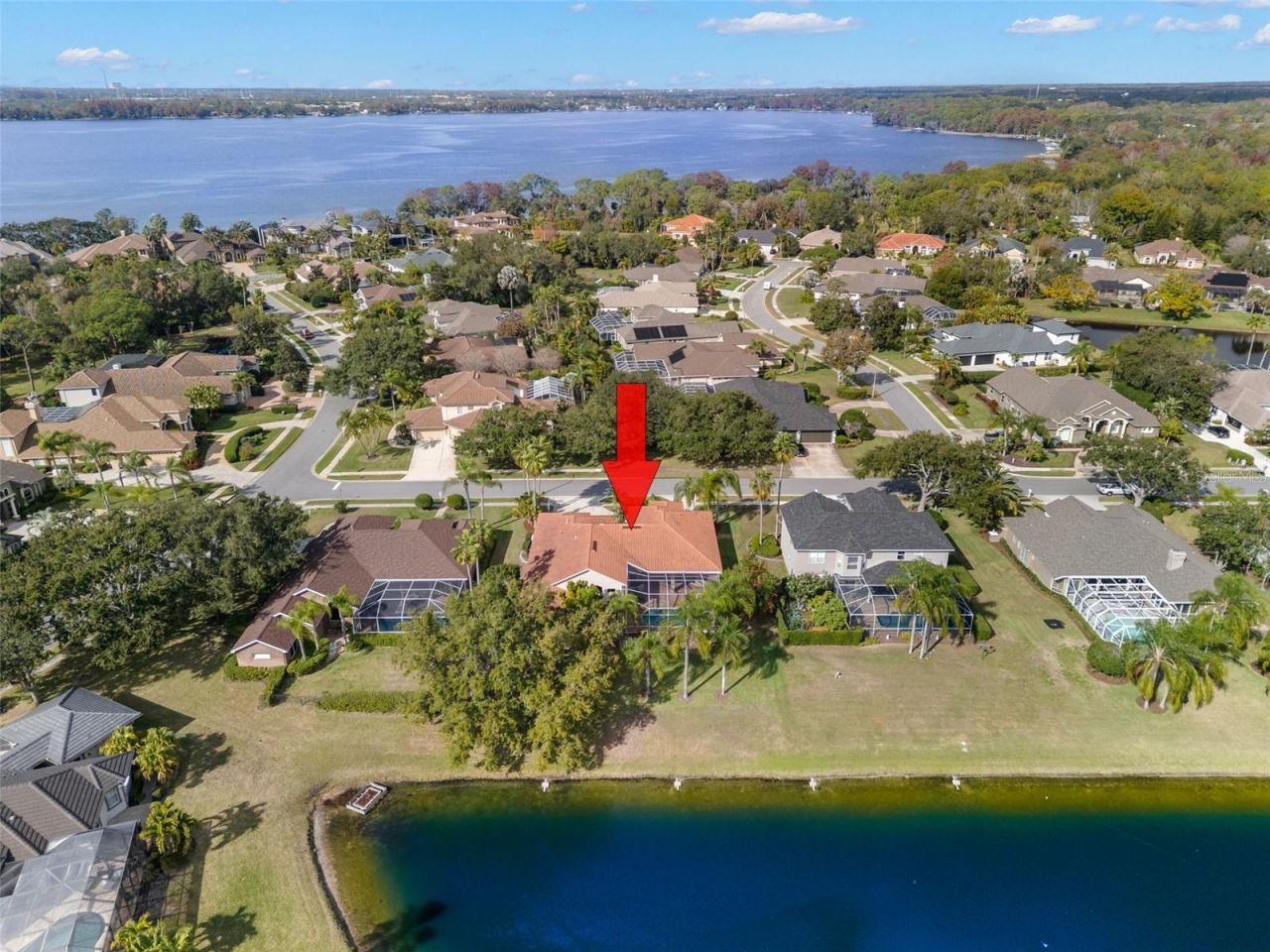 3830 Moreno Drive, Palm Harbor, FL 34685 Photo