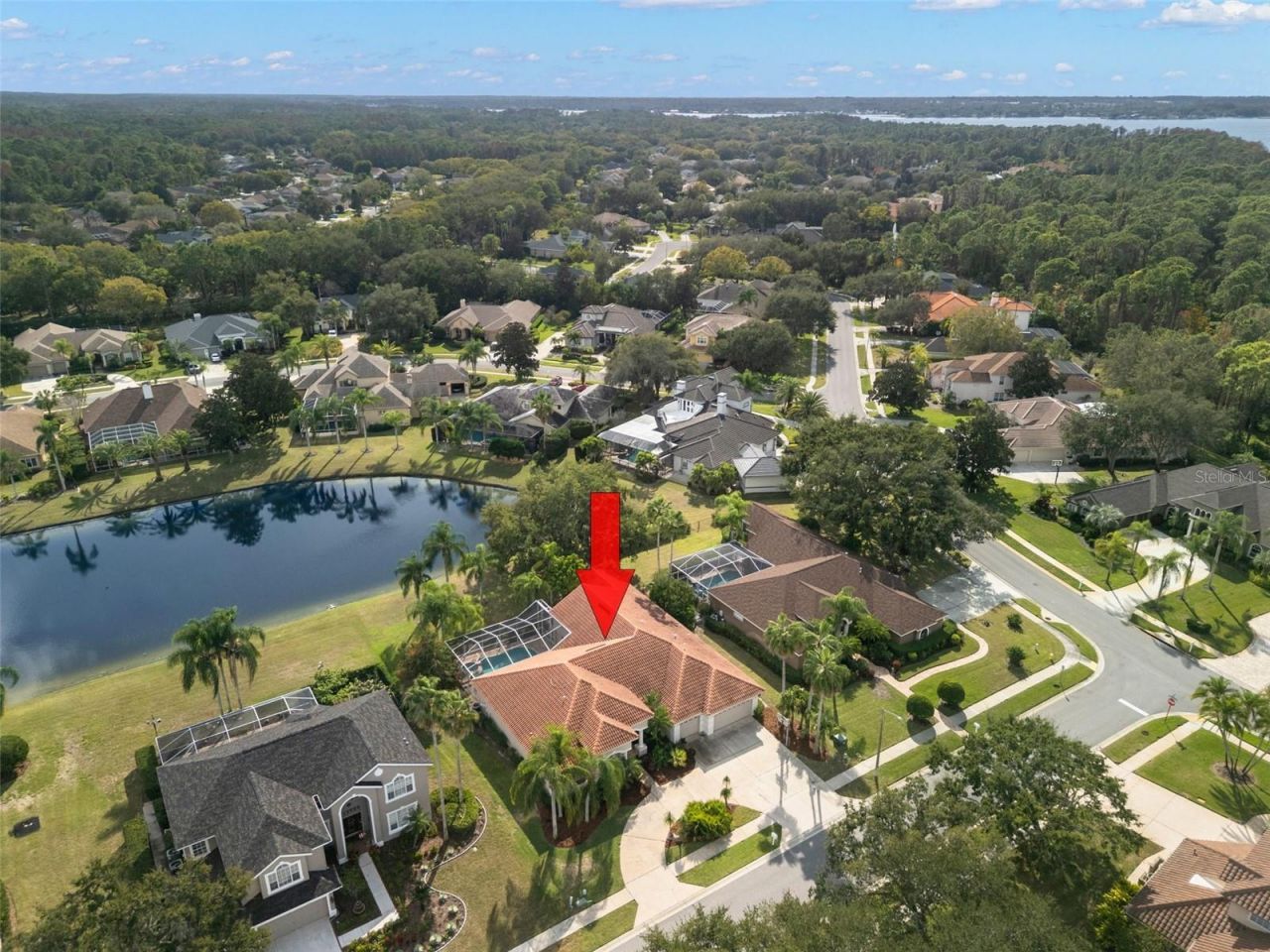 3830 Moreno Drive, Palm Harbor, FL 34685 Photo