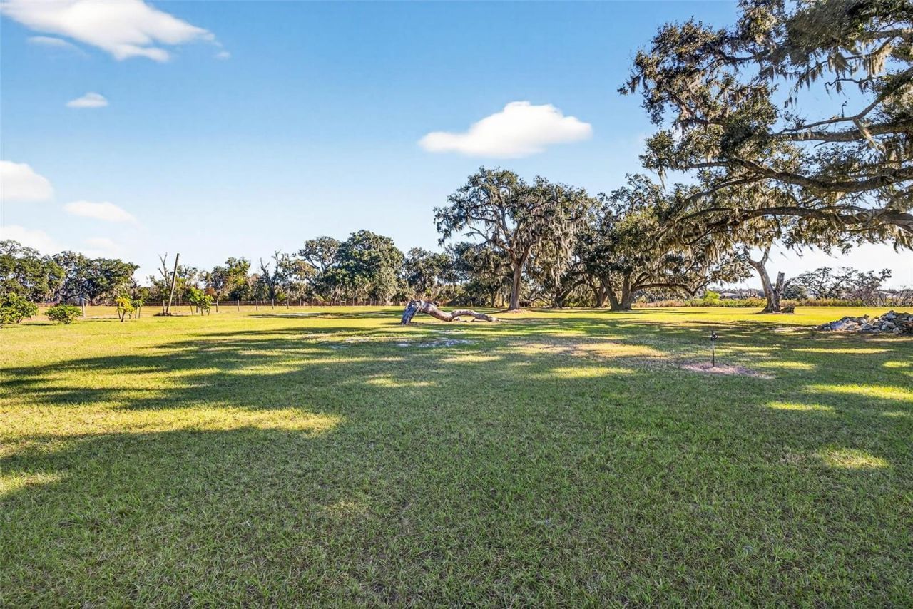 6750 Sutton Oaks Lane, Zephyrhills, FL 33541 Photo