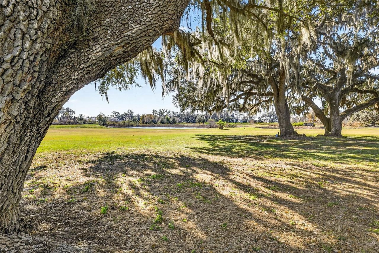 6750 Sutton Oaks Lane, Zephyrhills, FL 33541 Photo