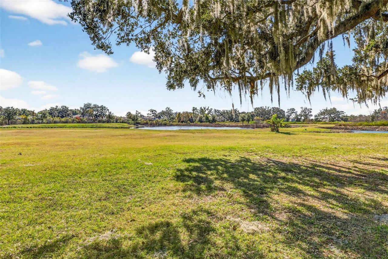 6750 Sutton Oaks Lane, Zephyrhills, FL 33541 Photo