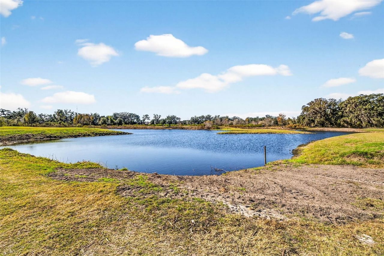 6750 Sutton Oaks Lane, Zephyrhills, FL 33541 Photo