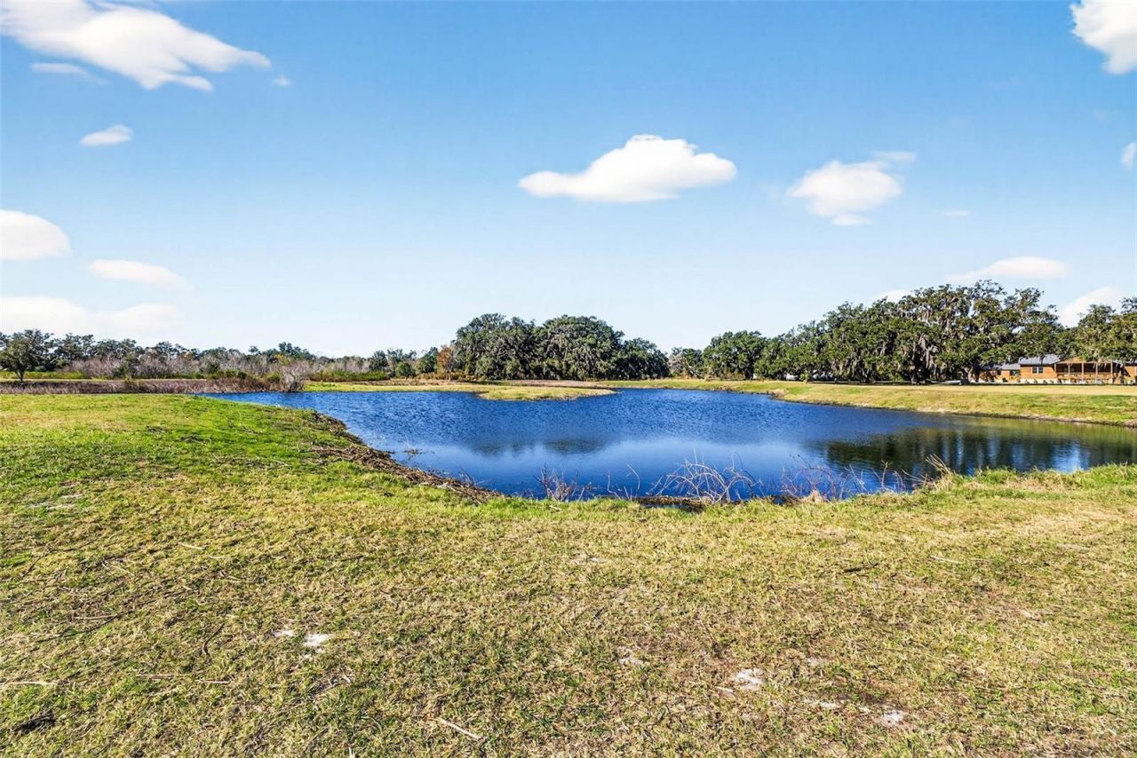 6750 Sutton Oaks Lane, Zephyrhills, FL 33541 Photo