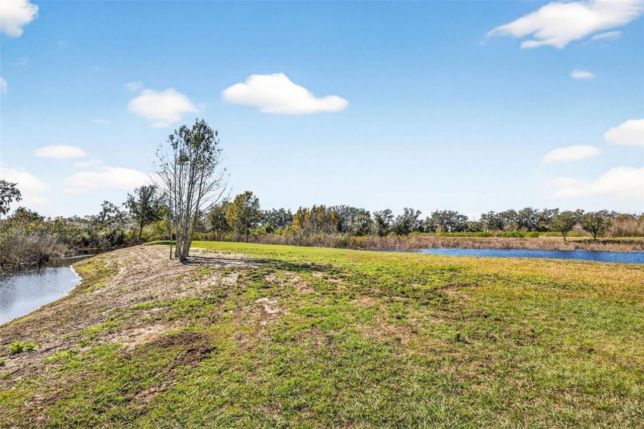 6750 Sutton Oaks Lane, Zephyrhills, FL 33541 Photo