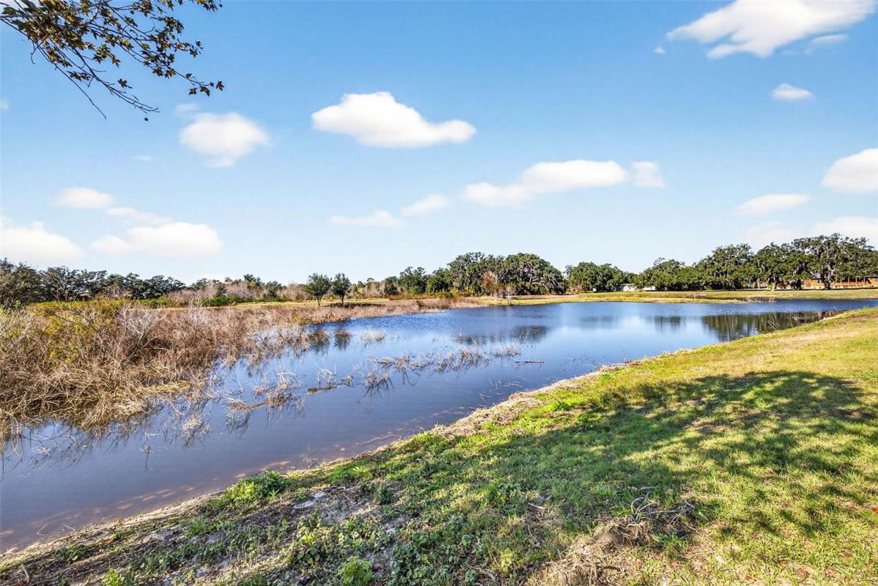 6750 Sutton Oaks Lane, Zephyrhills, FL 33541 Photo