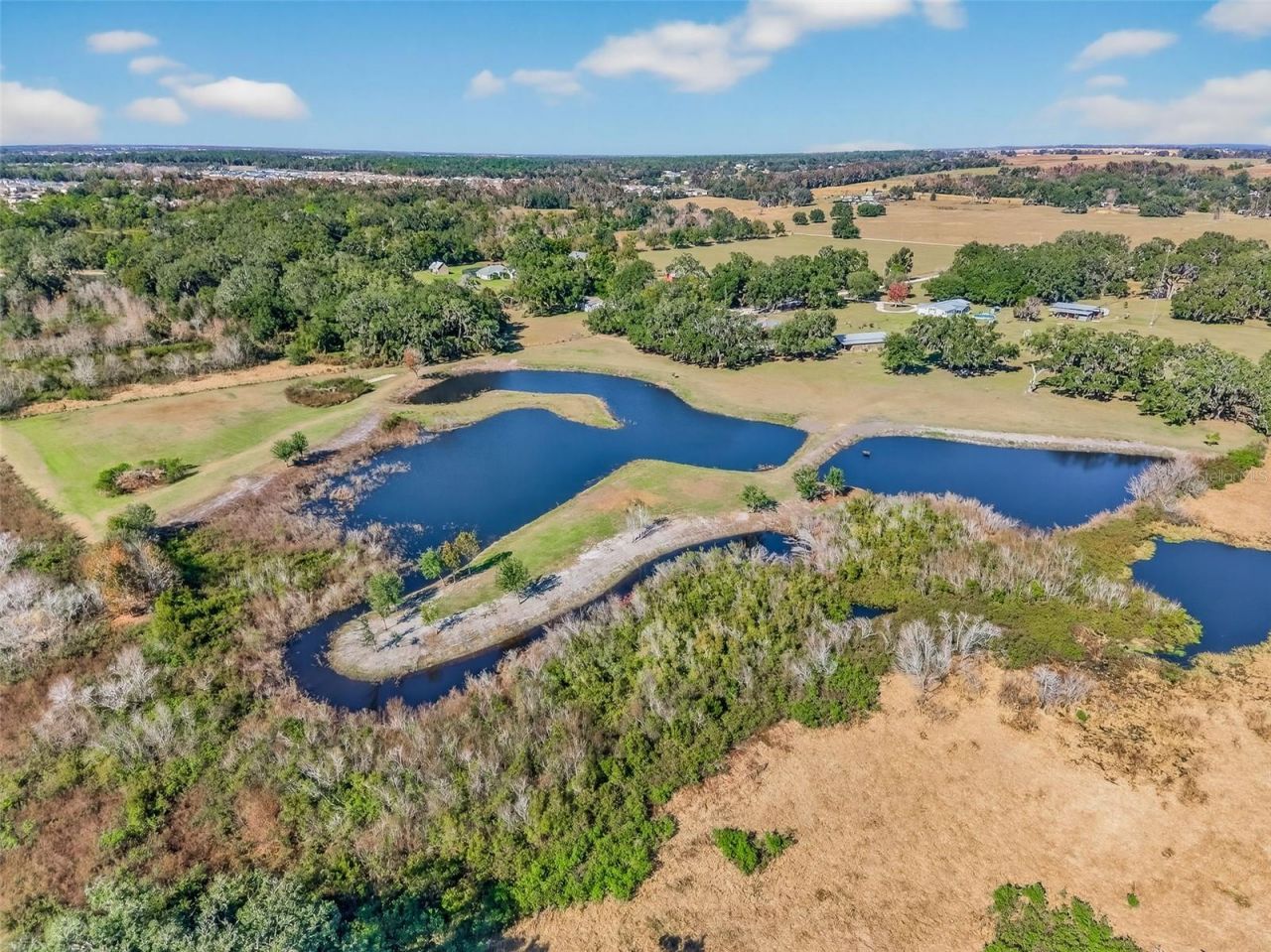 6750 Sutton Oaks Lane, Zephyrhills, FL 33541 Photo