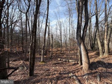 651 ASPEN DRIVE, ZION GROVE, PA 17985