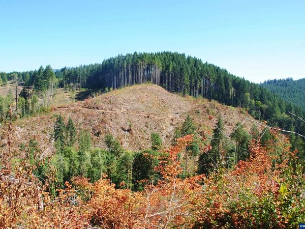 00 Van Horn Rd, Alsea, OR 97324