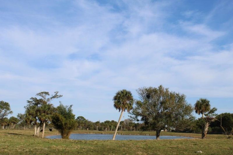 2410 S Brocksmith Road, Fort Pierce, FL 34945 Photo