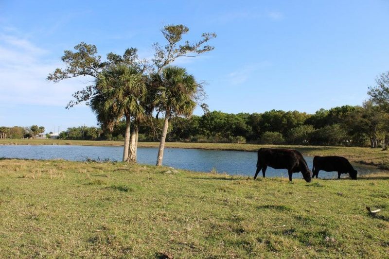 2410 S Brocksmith Road, Fort Pierce, FL 34945 Photo