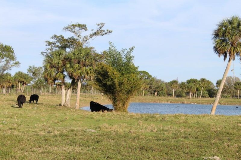 2410 S Brocksmith Road, Fort Pierce, FL 34945 Photo