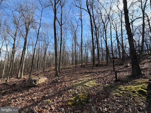 331 WHITEFACE CIRCLE, ZION GROVE, PA 17985