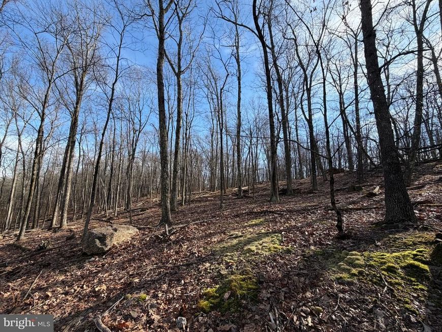 331 Whiteface Circle, Zion Grove, PA 17985 Main Photo