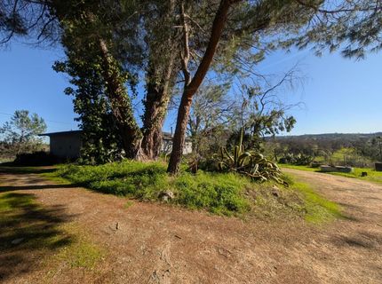 3436 Davis Dr, Burson, CA 95225 Photo