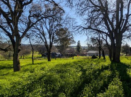 3436 Davis Dr, Burson, CA 95225 Photo