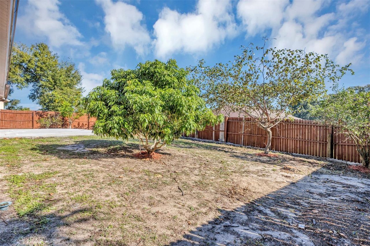 6701 Merlin Court, Orlando, FL 32810 Photo