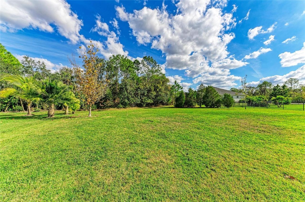 16336 26th Street E, Parrish, FL 34219 Photo