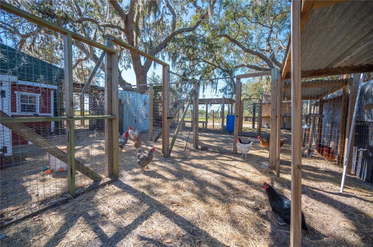 4900 J Jackson Road, Fort Meade, FL 33841 Photo